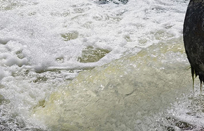 兩家企業(yè)超標排污 被各處罰款20萬元