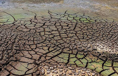 制革污泥處理設備選型指南