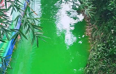 觸目驚心！水全都“染綠”了！多家企業(yè)被查處