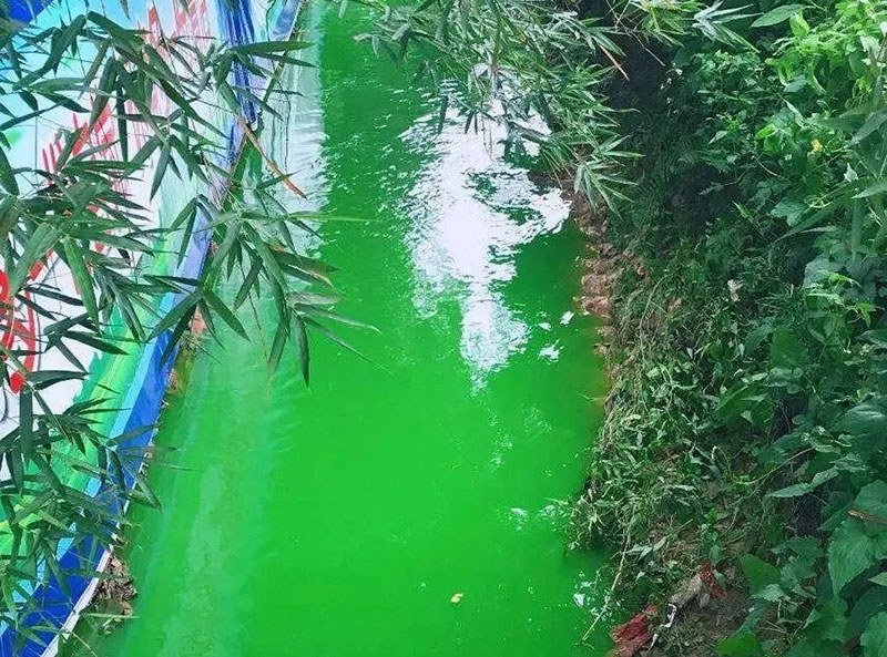 觸目驚心！水全都“染綠”了！多家企業(yè)被查處！