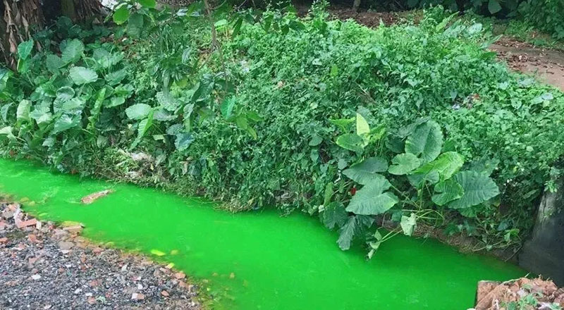 觸目驚心！水全都“染綠”了！多家企業(yè)被查處！